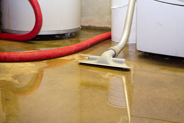 Best Flood damage cleanup  in Amherst, OH