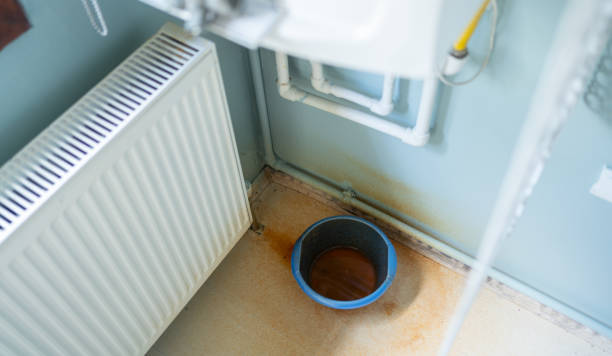 Best Flood restoration services  in Amherst, OH