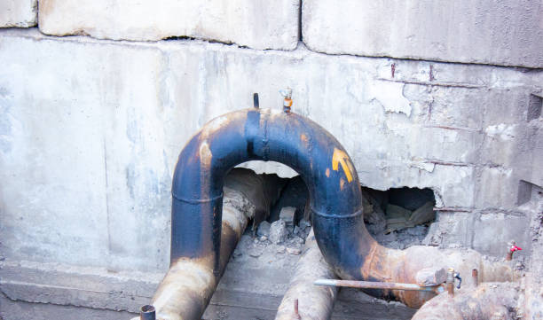 Best Flood restoration services  in Amherst, OH