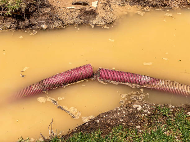 Best Water damage cleanup near me  in Amherst, OH